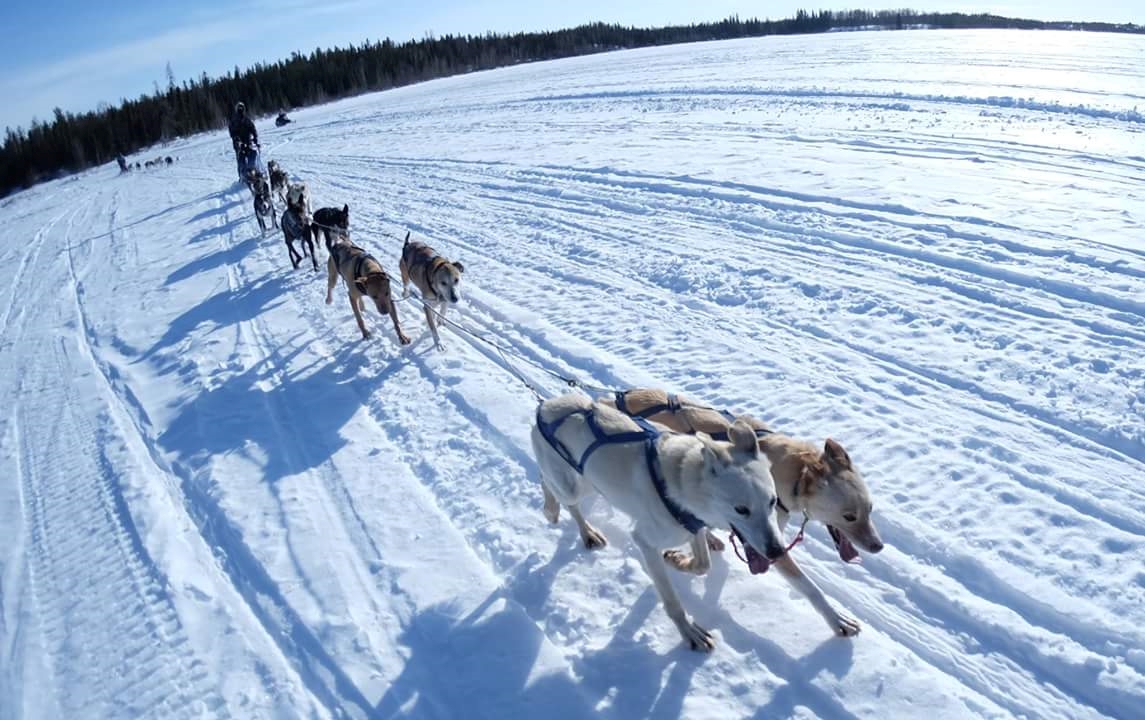 where can i ride a dog sled