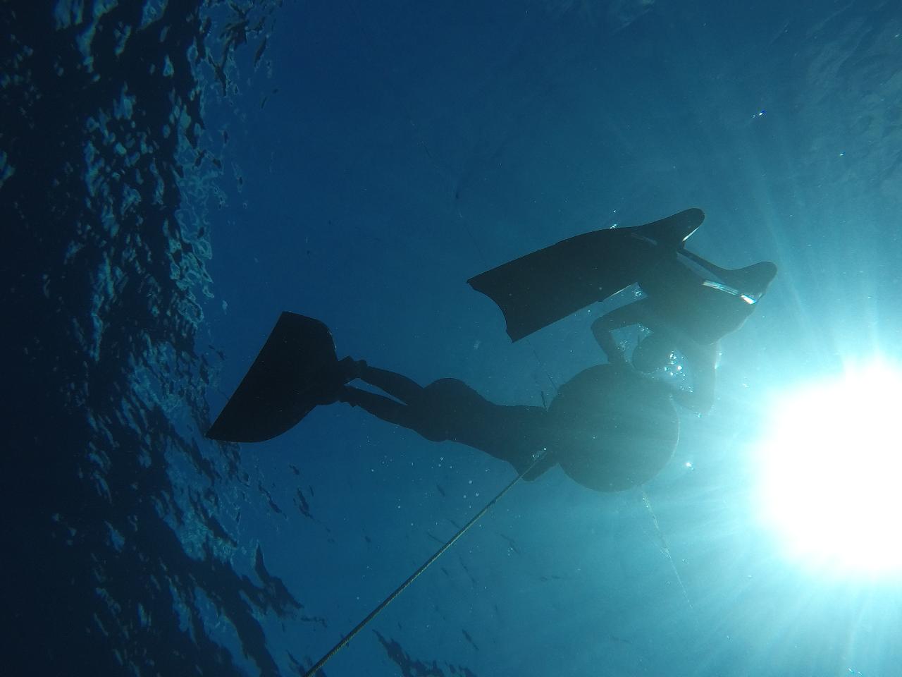 Freediver Course