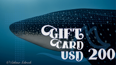Gift Card for $200