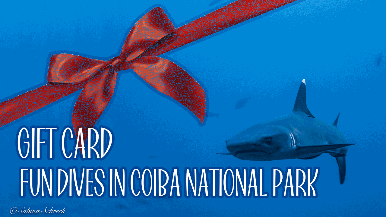 Gift Card for 2 dives in Coiba National Park