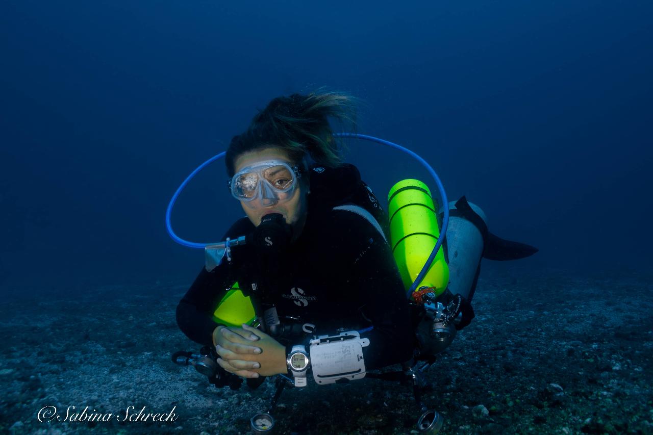  Tec Dive in Coiba National Park