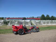 Yarra Valley and Wineries Day Tours