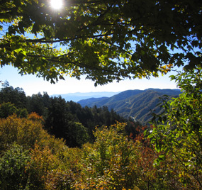 Smoky Mountain Special Tour