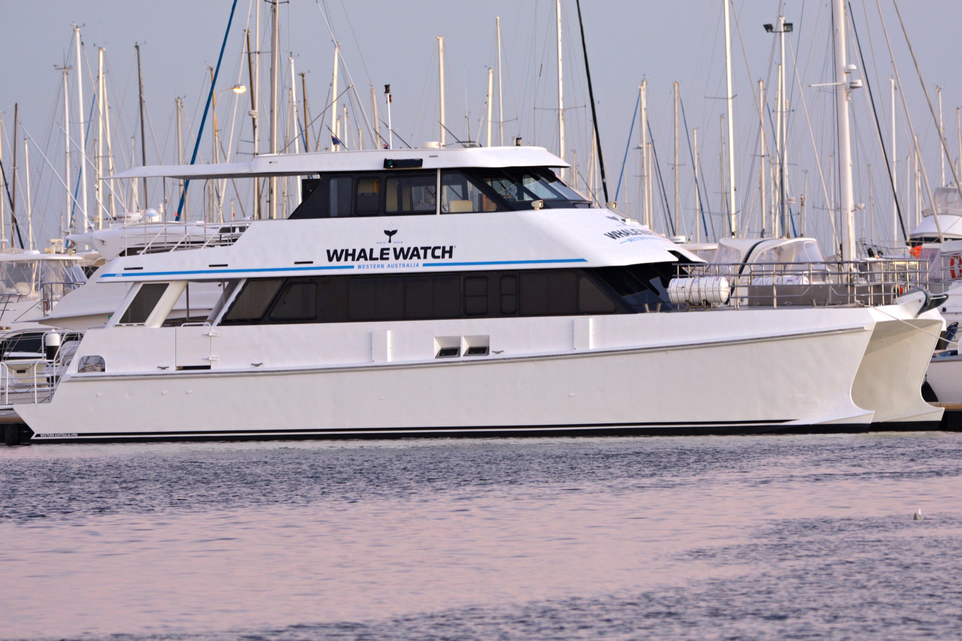 Whale Watch Experience ~ VIP Captains Lounge ~ PERTH