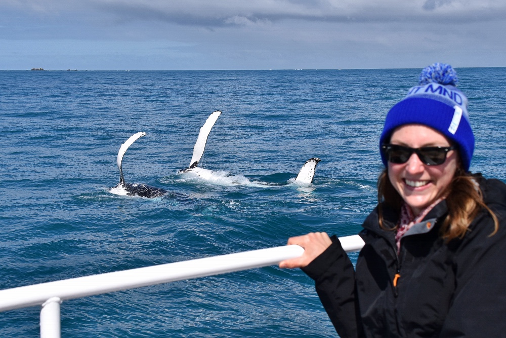 Whale Watching Perth