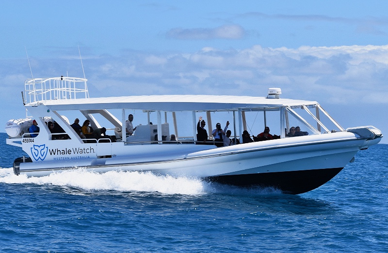 Bremer Bay Orca Extreme