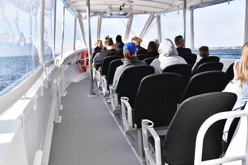 Bremer Bay Orca Extreme