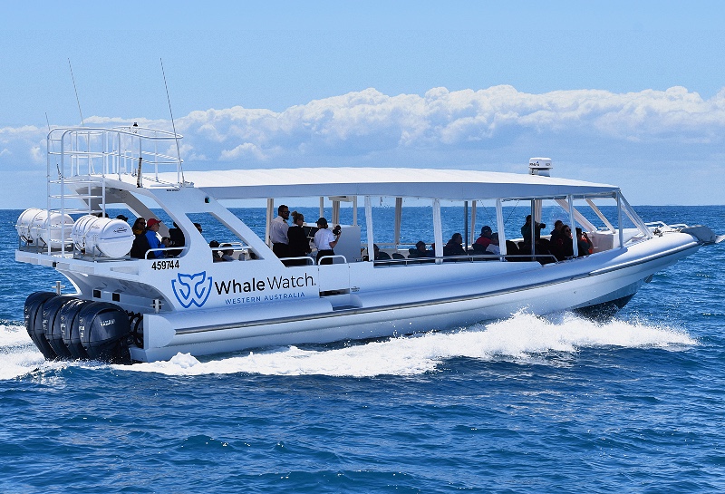 Bremer Bay Orca Extreme