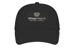 Whale Watch Cap