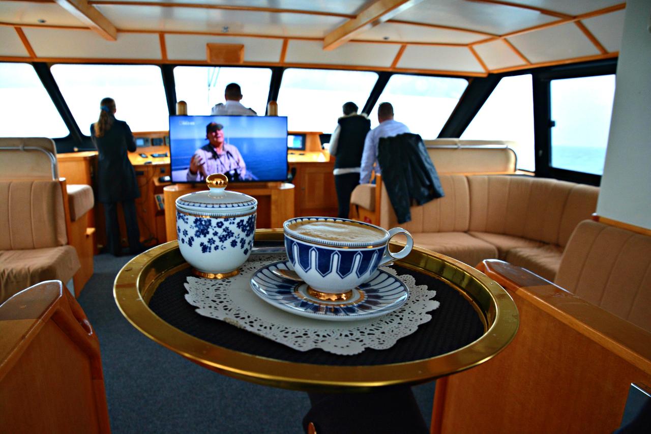 Whale Watch Augusta ~ VIP Captains Lounge ~