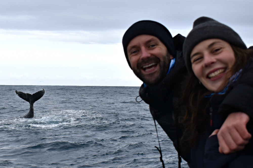 Whale Watch Perth ~ VIP Captains Lounge ~