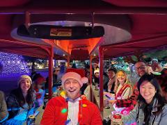 Winterhaven Festival Rides