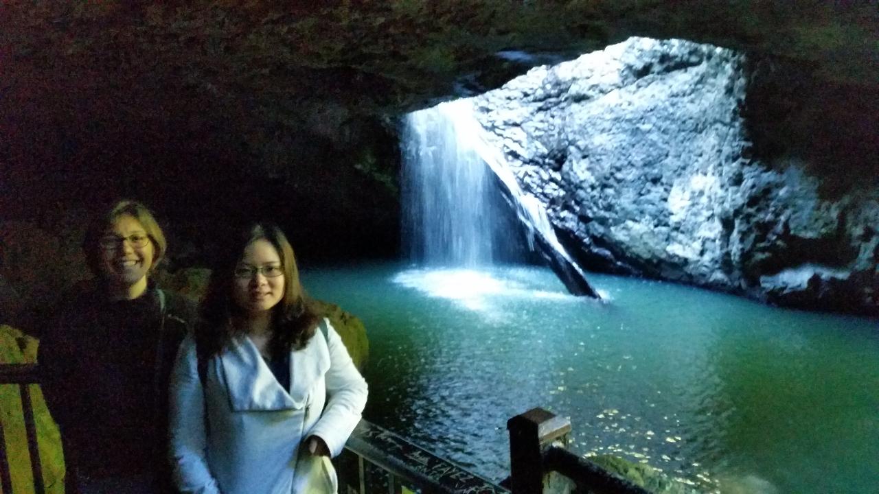 Natural Bridge Falls Springbrook National Park Rainforest Tours