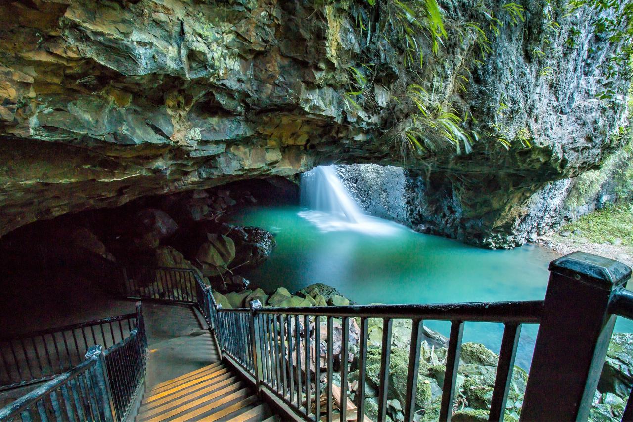 Springbrook Half Day Tour