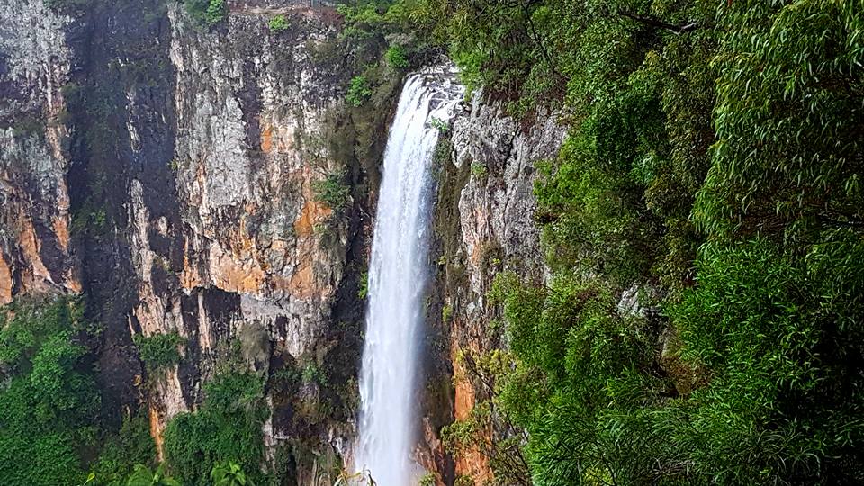 Purling Brook Falls Springbrook National Park Rainforest Tours