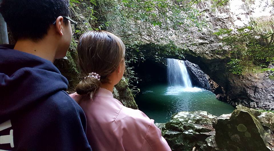 Springbrook Half Day Tour Rainforest Tours Australia Reservations