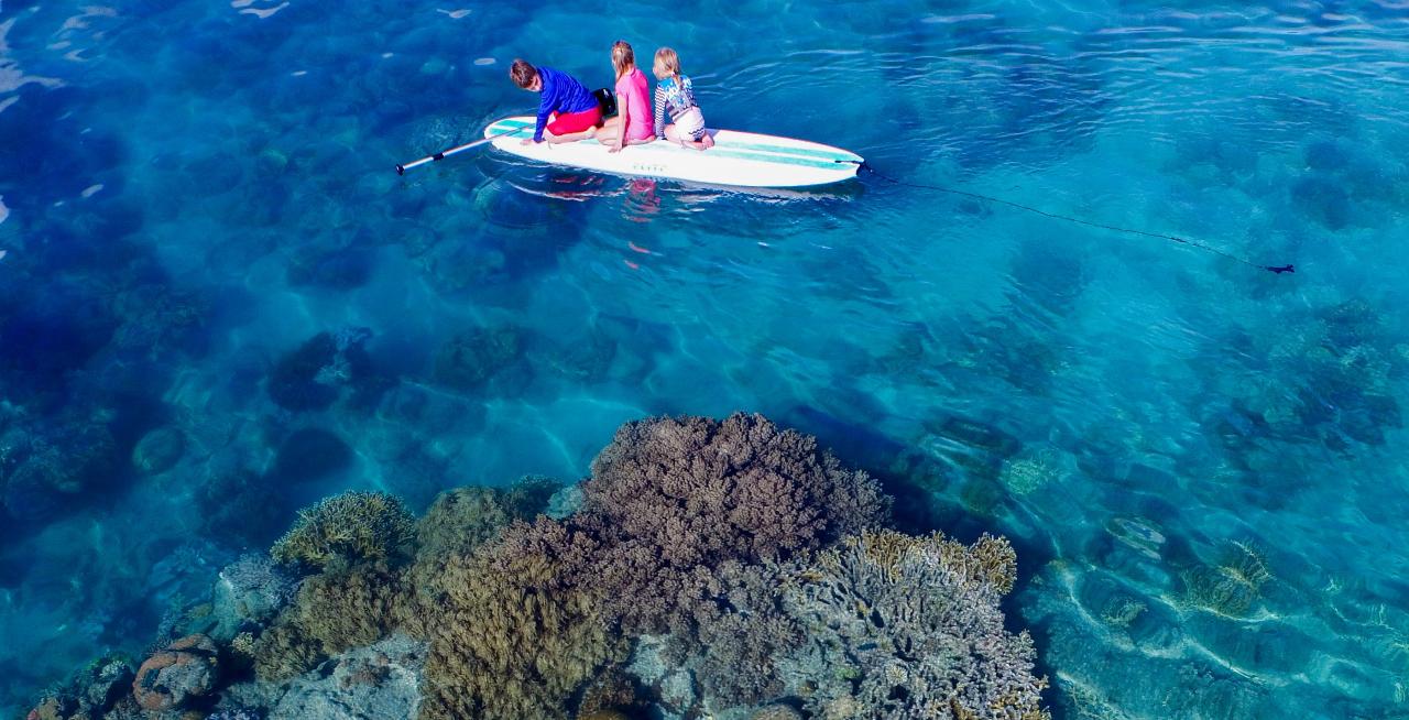 Airlie Beach Private Ocean Affinity Sailing Charter Half Day (4 hour