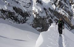 Private Backcountry Ski Guiding & Instruction - Golden/ Rogers Pass