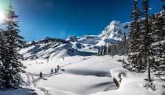 Mistaya Lodge Ski & Split Weeks