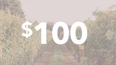 $100 Experience Gift Card for Konzelmann Estate Winery