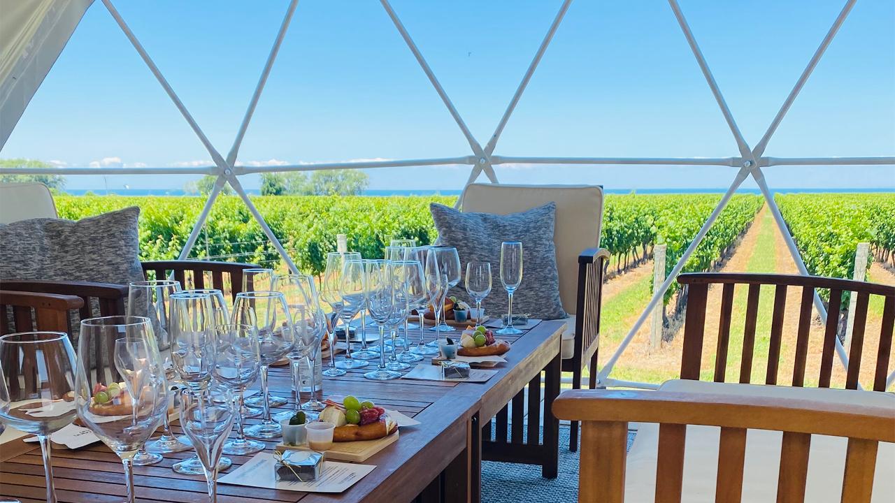 Vineyard Dome Experience