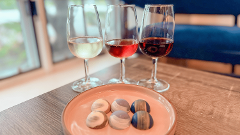 Chocolate Pairing Experience