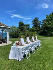 Wine & Paint Experience - Sunday August 4