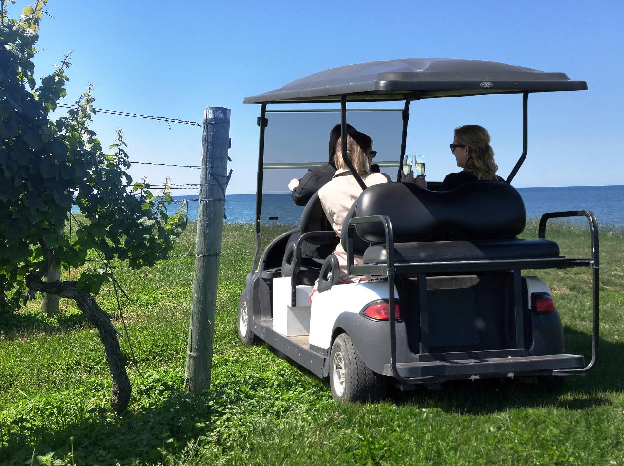 Vineyard Safari (Weekdays 3:00 pm)