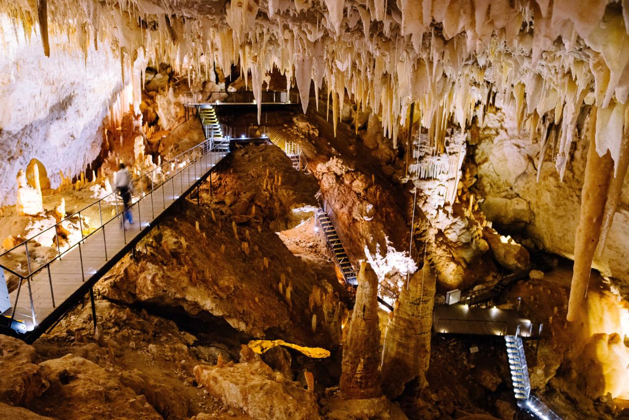Jewel Cave Fully Guided Tour