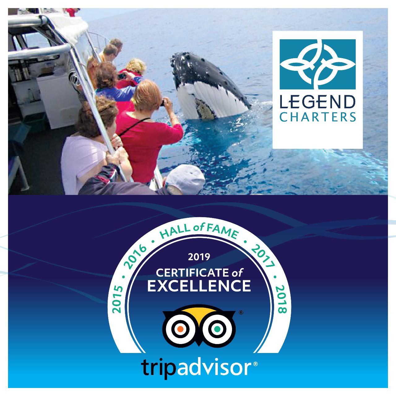 Busselton Whale Watching Eco Tours 