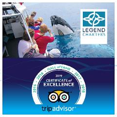 Busselton Whale Watching Eco Tours 