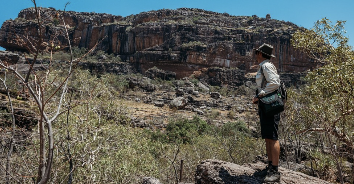 Kakadu Day Tour - Nourlangie and Yellow Water Billabong Cruise