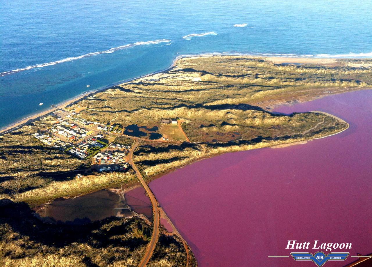 pink lake buggy tours