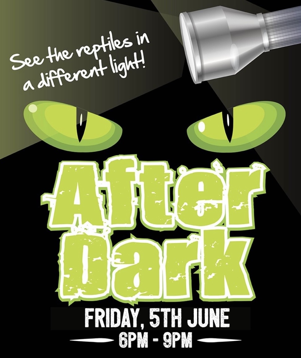 After Dark Entry