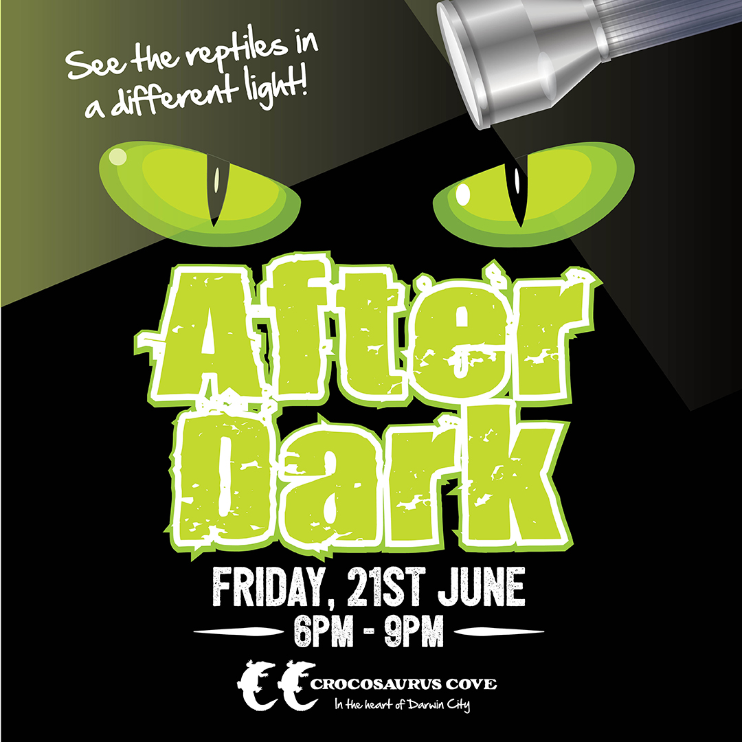 After Dark Entry