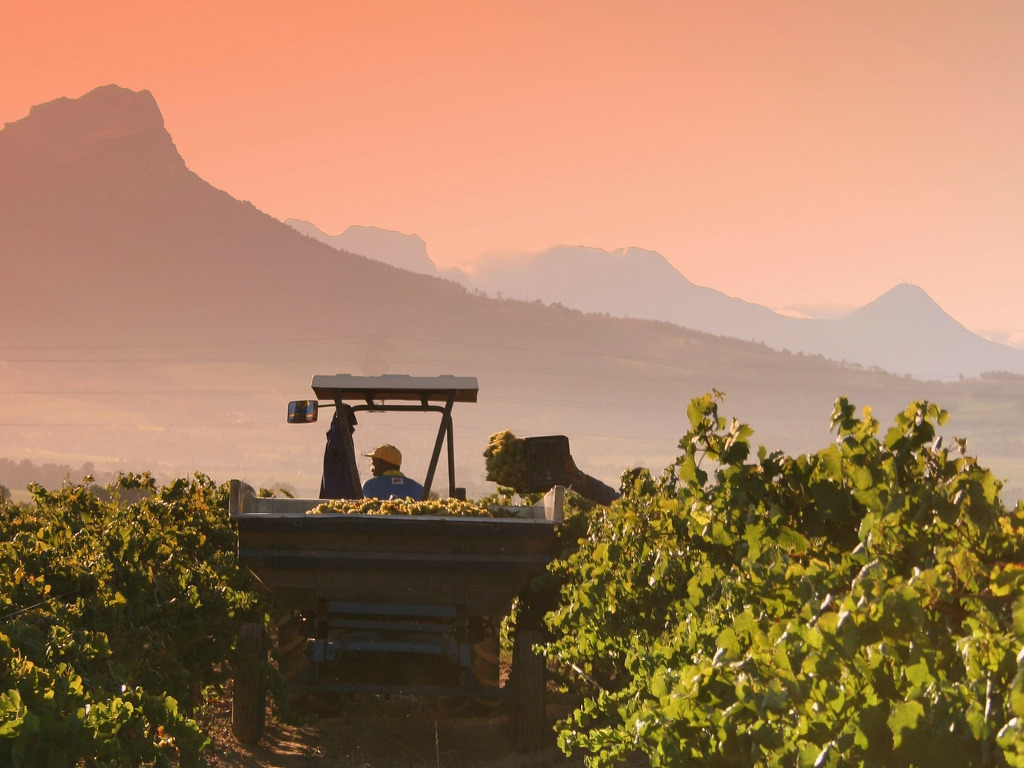 Explore the Winelands Full Day 