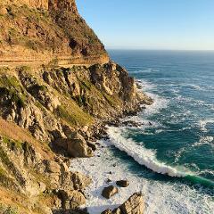 Cape Peninsula and Penguin colony Tour Full Day