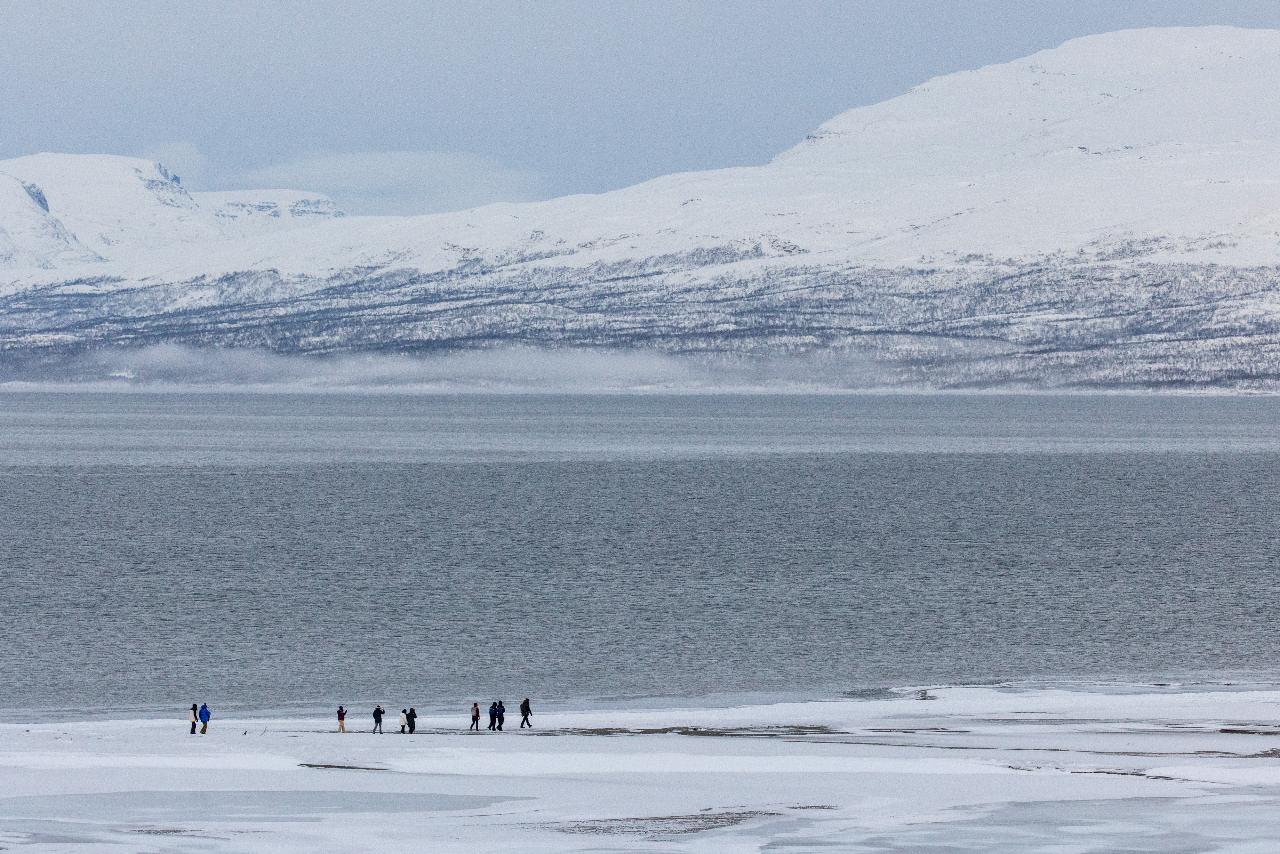 Afternoon Panorama Hike in Abisko