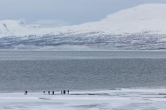 Afternoon Panorama Hike in Abisko