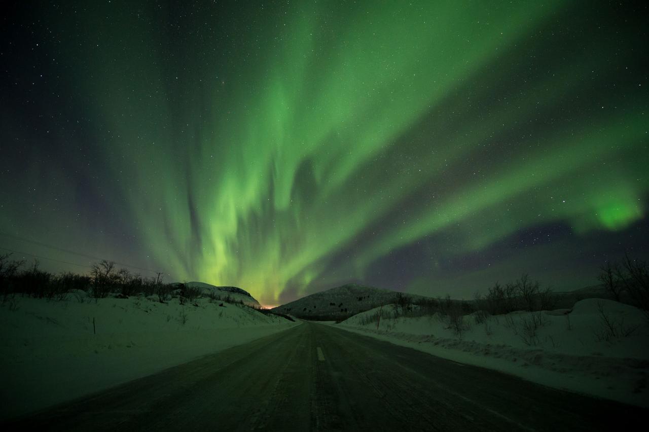 Abisko Aurora Chase