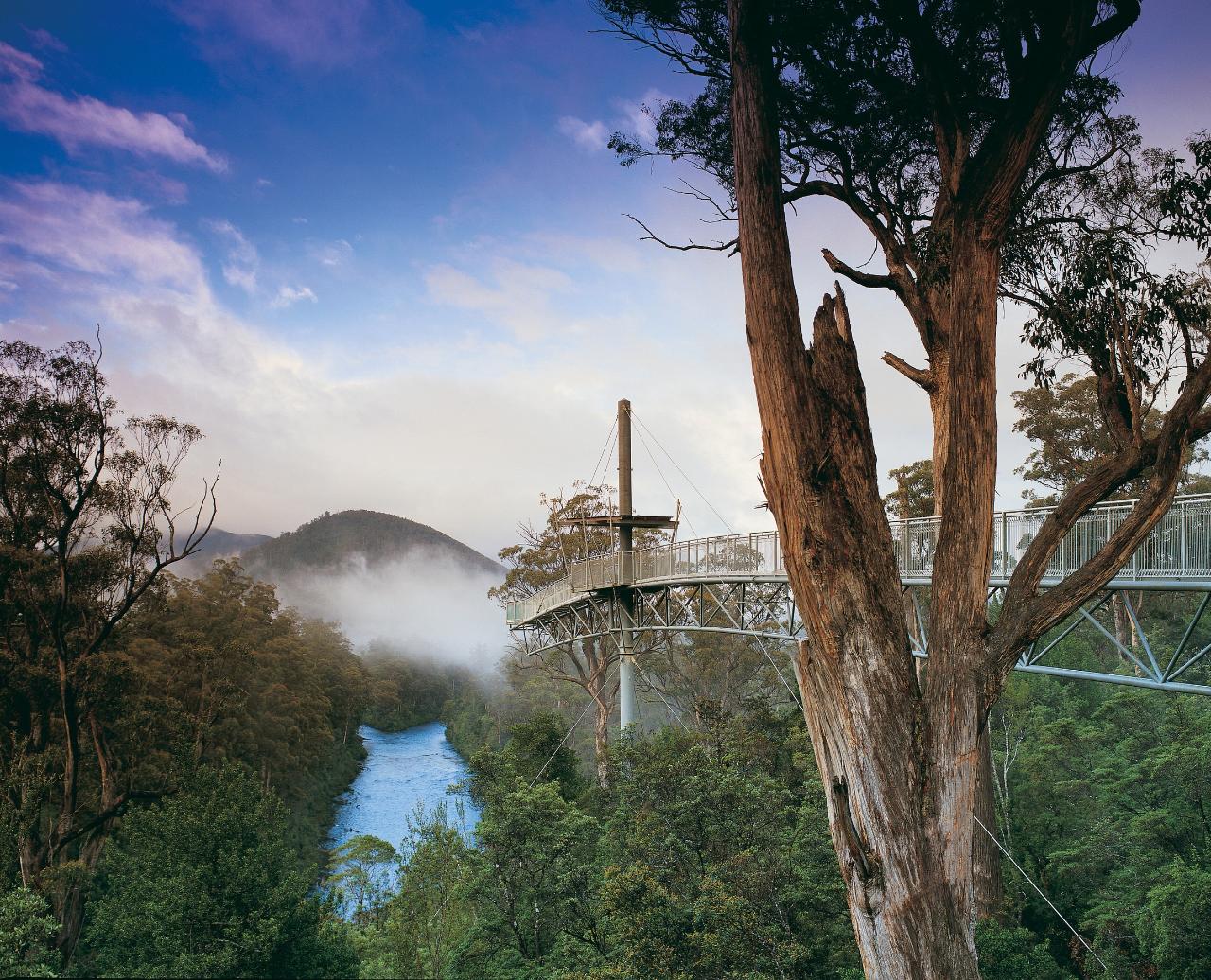Private Mt Wellington and Tahune Adventures Tasmania Day Tour from Hobart 2 - 6 Passengers Airwalk Entry Included