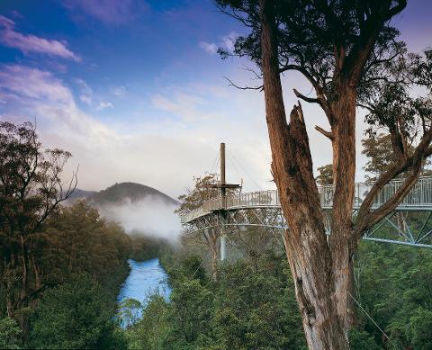 Private Huon Valley and Tahune Adventures Day Tour From Hobart 4 – 7 Passengers Tasmania Australia