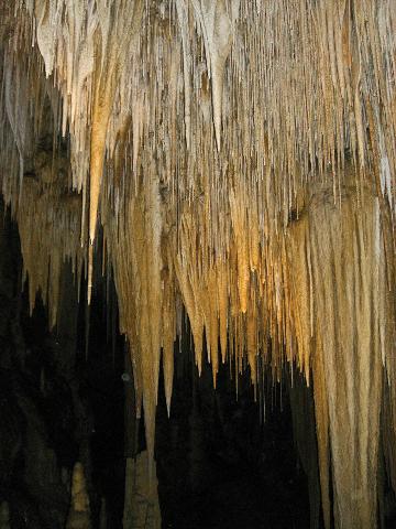 Private Hastings Caves, Ida Bay Railway Day Tour from Hobart 2 – 3 Passengers. Entry Fees Included Tasmania Australia