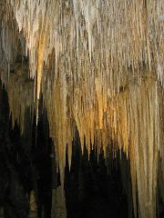 Private Hastings Caves, Tahune Adventures Day Tour from Hobart 4 - 7 Passengers. Entry Fees Included