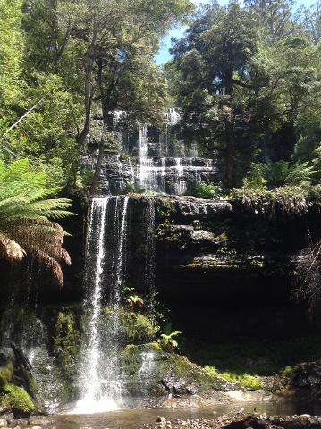 Mt Field, Salmon Ponds and Tasmanian Devils Day Tour Tasmania Australia