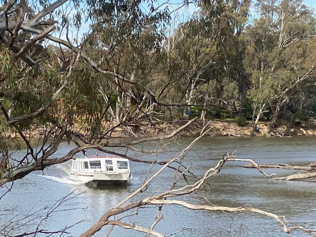 Murray Explorer Campaspe River - 1hr Cruise - Murray River ...