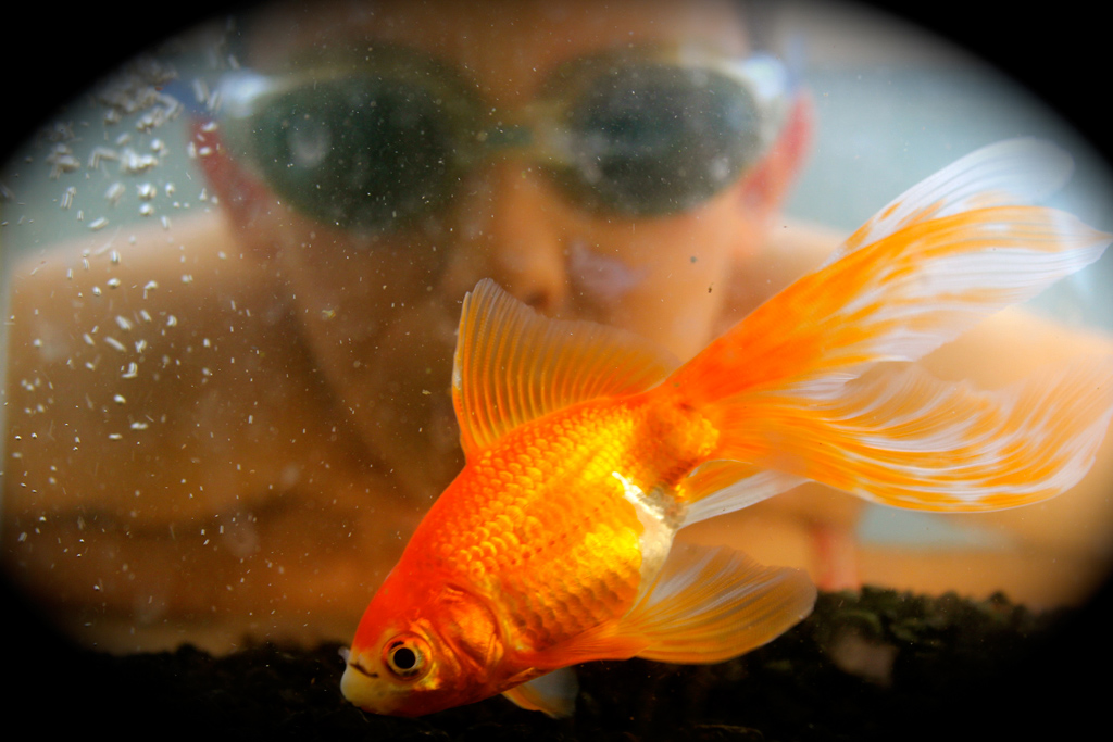 Digital Photography Course - 8 week - West Pymble