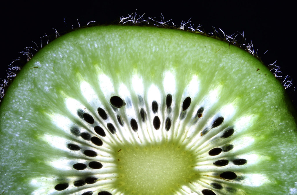 Digital Photography Course - 8 week - West Pymble