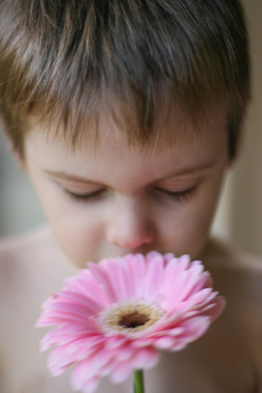 Digital Photography Course - 8 week - West Pymble