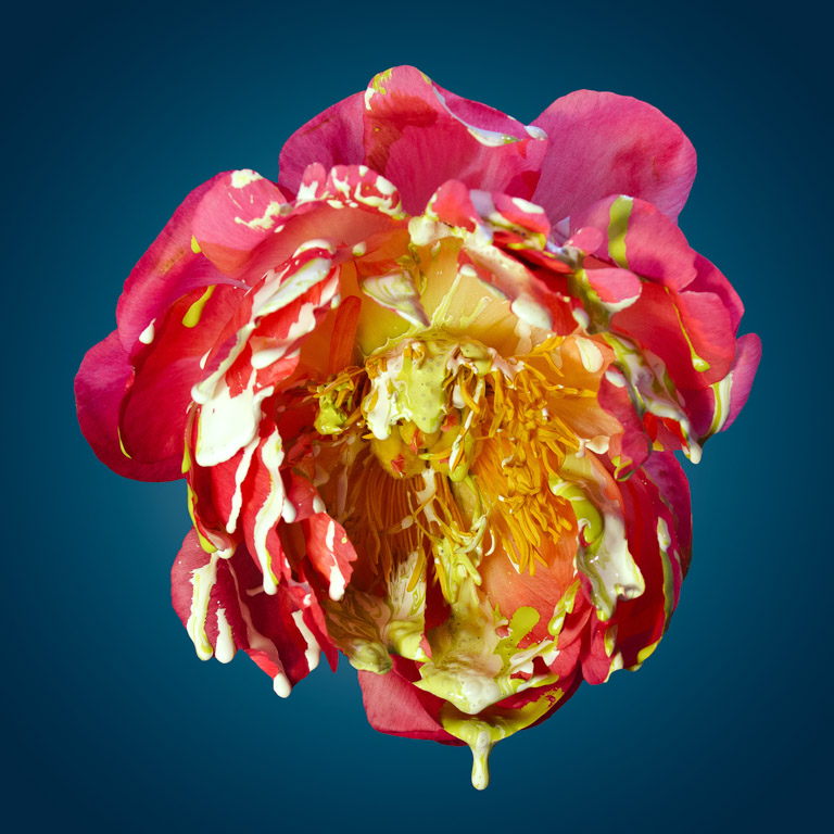 Digital Photography Course - 8 week - West Pymble